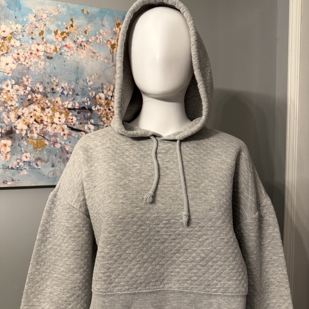 Streetcore College Prep Women's Cropped Hoodie Size M Gray Y2K Wild Fable - Picture 4 of 8